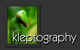 Kleptography Introduction
